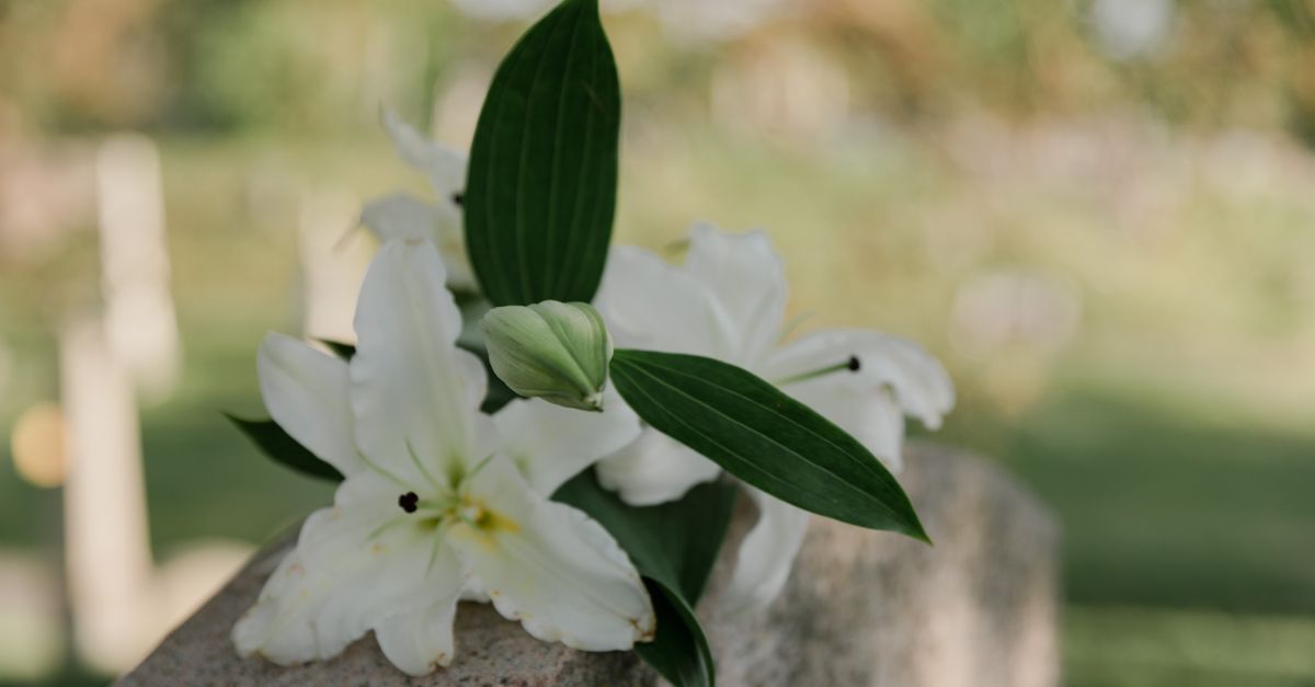 Lys blancs déposés sur une pierre tombale, image du congé de décès au Maroc
